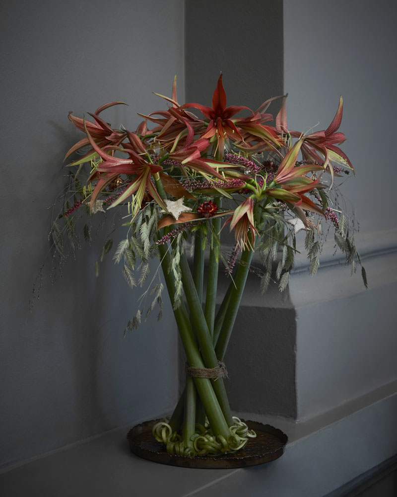 4-sätt-att-pynta-med-amaryllis-krulla.jpg